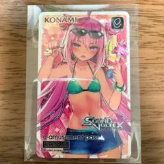 グレイス SOUND VOLTEX e-amusement pass