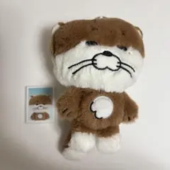 BOYNEXETDOOR プネクド キーリング ダーリン