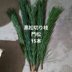 Item thumbnail for item 4c828a71-33a5-4bc5-b779-e70781ab3a13