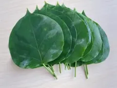 yokayoka様 リクエスト 3点 まとめ商品