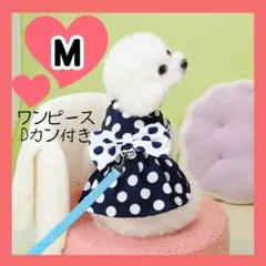 Item thumbnail for item 4c4c1257-fcf1-4549-9328-946bd9b9c1a7