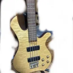 Washburn CB-14 SP エレキベース ジャンク - メルカリ