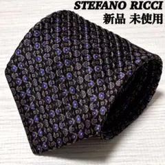 新品 未使用 STEFANO RICCI ステファノリッチ ネクタイ プリーツ