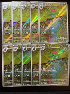 ポケモンカード フシギダネ 進化ライン AR 各5枚 10枚セット まとめ