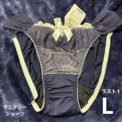 1：新品タグ付 廃盤 aimerfeel ネイビー L ショーツ サニタリー