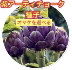 たか様 リクエスト 4点 まとめ商品