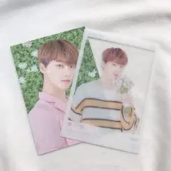 SEVENTEEN HARU トレカ ディノ