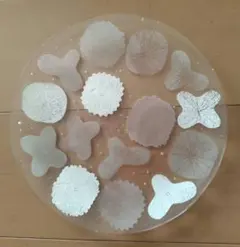 Item thumbnail for item ca8a8cb9-75b4-4682-9143-115ea9e3f087