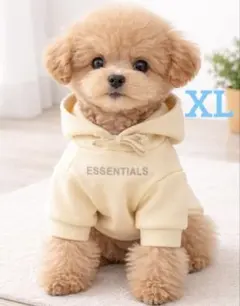 【SNS映え】韓国風 犬服 パーカー クリーム XLサイズ 高見え おしゃれ