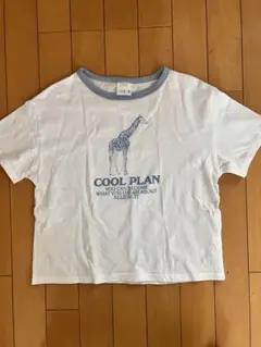 ZARA kids Ｔシャツ　152cm レディースXSとして購入　ホワイト　白のサムネイル