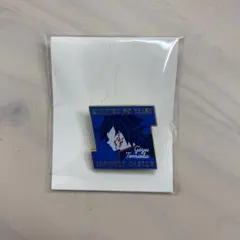 鬼滅の刃 冨岡義勇 モチーフピンズ