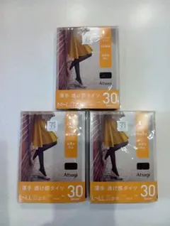 Atsugi 30デニール ストッキング ブラック M-L　L-LL