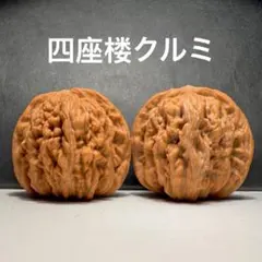 [상태좋음] 바니 월넛/장난기 가득한 호두, 4인동 41mm, 골질 S, 숙성을 즐길 수 있는 스피닝 호두