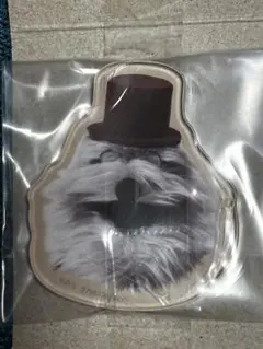 PUPPET SUNSUN キャラマグネッツ ゾンゾン