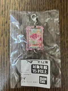 【即購入⭕️】アイカツ！カスタムドレスアップチャーム 星宮いちご