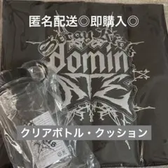 新品 スキズ エコパ アプグレ特典グッズ クッション クリアボトル