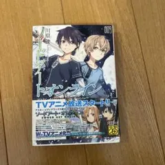 ソードアート・オンライン 9 アリシゼーション・ビギニング