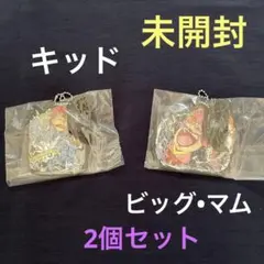 ワンピース 一番くじ 覇王ノ兆