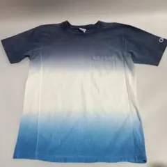 Champion Reverse Weave Tシャツ Lサイズ グラデーション