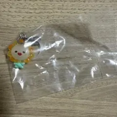 JOCHUM めじるしアクセサリー Bira