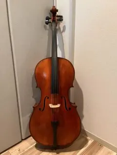 2026年最新】チェロケース イーストマンの人気アイテム - メルカリ