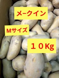 熊本県産 メークイン 10kg 無農薬栽培 新じゃが - メルカリ