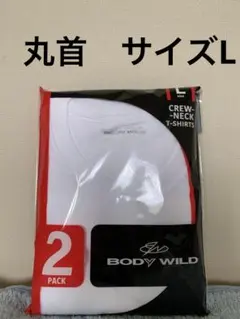 BODY WILD グンゼ クルーネックTシャツ 2枚組 L