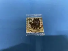 サラブ烈闘 LGR キタサンブラック