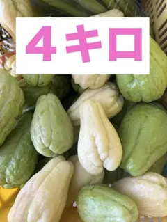 2026年最新】ハヤトウリ野菜の人気アイテム - メルカリ