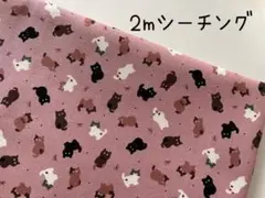 2m　ネコ　猫　KOKKA　シーチング　コットン　生地　スモークピンク　Z69