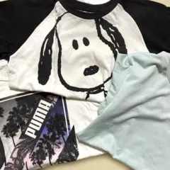 スヌーピー 、PUMA、ユニクロ、Tシャツ3枚まとめ売り、お得❗️