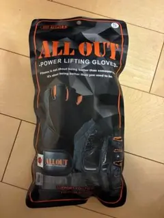 Item thumbnail for item 10147660-502b-4a7f-882b-2077f40ab998