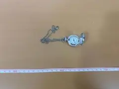 Item thumbnail for item f0ea126a-2e1d-4b66-990d-478af8b9e99a