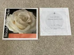 Item thumbnail for item ee4e99ee-13a7-44e1-96e9-a0819a935c61