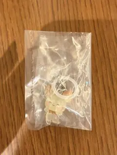 ポケモン ポケピース めじるしアクセサリー ピチュー