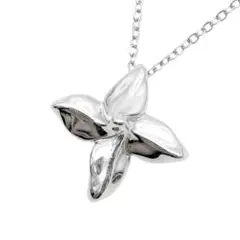 Item thumbnail for item 3312b617-81ff-4106-bcd8-c1bd7f922078