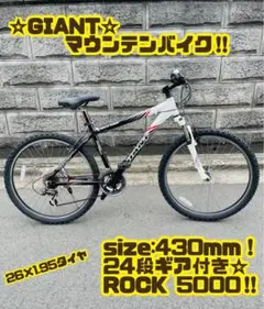 Treed Giant Rock5000 直接引取歓迎近県配送可 2025年最新】Giant ROCK 5000の人気アイテム - メルカリ