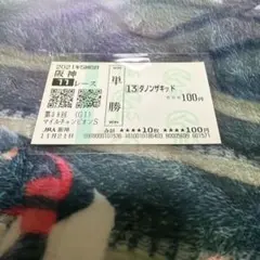2021 マイルCS ダノンザキッド　現地単勝馬券　外れ馬券のサムネイル