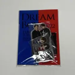 DREAM BOYS 2022 アクリルスタンド 菊池風磨 田中樹