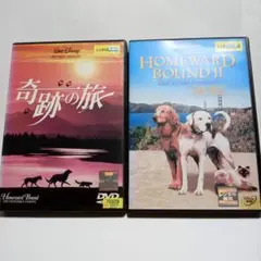 DVD 奇跡の旅/奇跡の旅２　 Disney