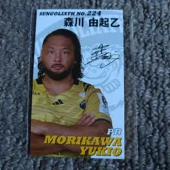 Item thumbnail for item 6fd2e251-ad50-4962-b1cf-b75efeb17f46