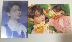 SEVENTEEN  SECTOR 17  ポストカード ジュン