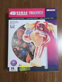 Item thumbnail for item 2df381c9-e8de-4774-bfa8-08c88ca208ad