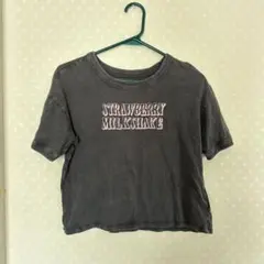 アレキサンダーワン【美品】ウォッシュ加工 半袖Tシャツ ショート丈