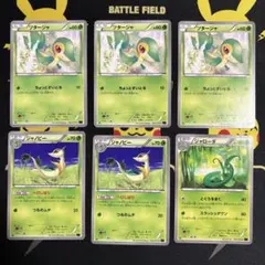 ツタージャ、ジャノビー、ジャローダ　進化ライン　6枚　XY収録　希少！　1ED