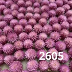 Ne*様専用　確認用