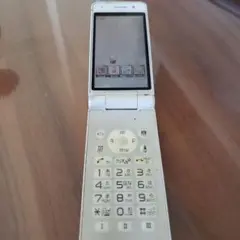 P-01E ホワイト ワンセグ対応 ドコモ携帯電話 本体