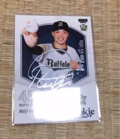 Item thumbnail for item 0d0250ee-b0a8-4786-8611-42859249961a