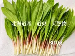 行者ニンニク（アイヌネギ）北海道産 天然野菜 300gのサムネイル
