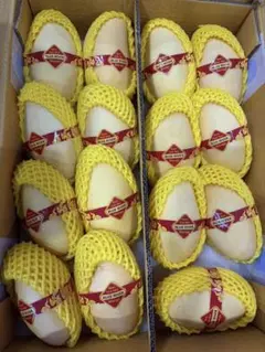 タイ黄色マンゴー　12-15入/約5kg タイ黄色マンゴー 12-15入/約5kg - メルカリ
